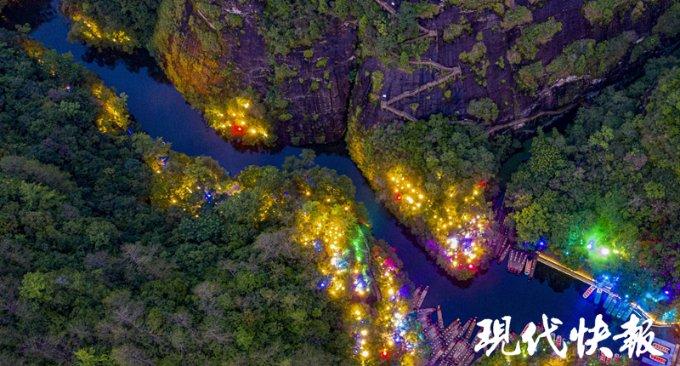 近百种珊瑚在厦门“安家”