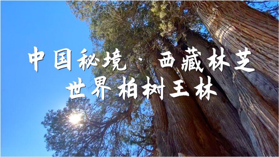 幻想纹章3.5