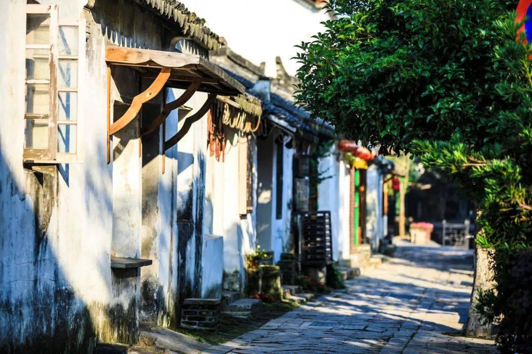 小锯鳄卡丁车竞赛